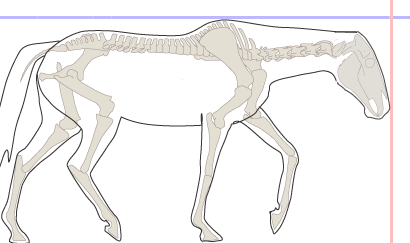 to není protažení, jen bloumání po okolí to není protažení, jen bloumání po okolí