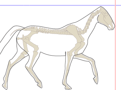 nad otěží s nosem vepředu nad otěží s nosem vepředu