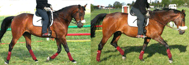 střídání práce a natažení střídání práce a natažení