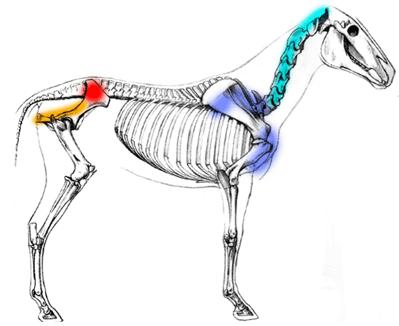 zadní páka oranžová, přední tyrkysová zadní páka oranžová, přední tyrkysová