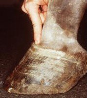 žlábek nad korunkou žlábek nad korunkou