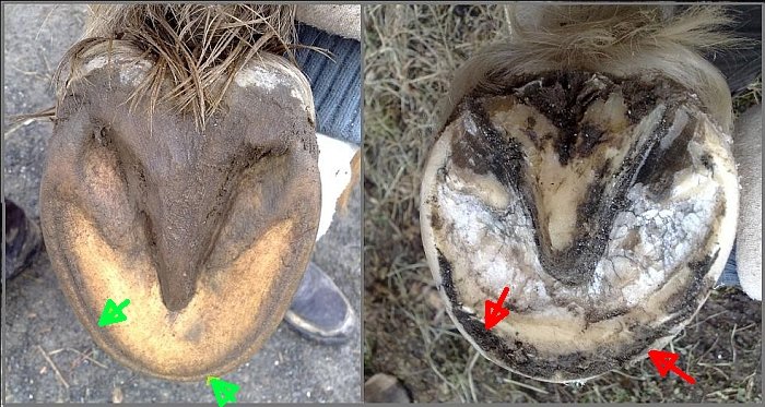 porušená bílá čára porušená bílá čára