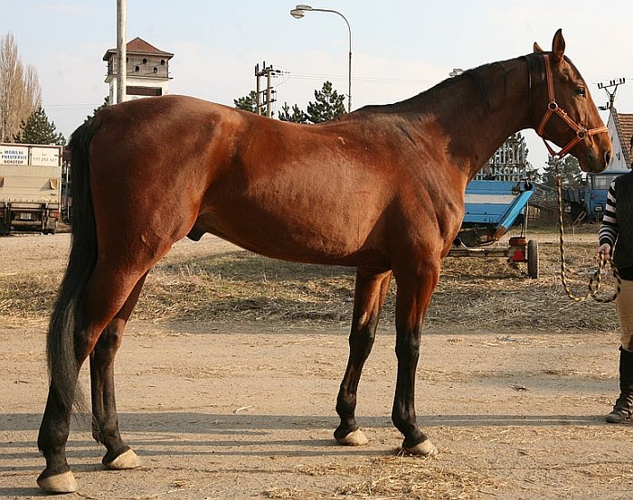 Red Valmont 8.3.2010 Red Valmont 8.3.2010