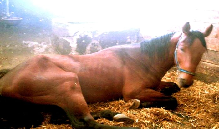 Red Valmont Red Valmont