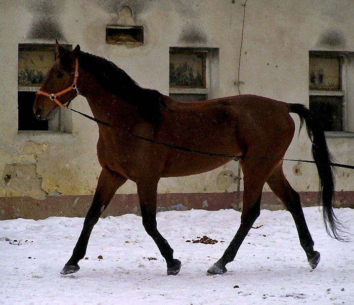 Red Valmont únor 2010 Red Valmont únor 2010