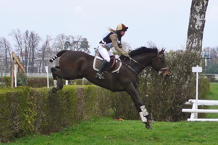 Veronika Příhodová s koněm Imposant Rules Veronika Příhodová s koněm Imposant Rules