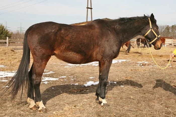 Klod 10.3.2010 Klod 10.3.2010