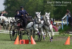 Jiří Nesvačil na parkuru Jiří Nesvačil na parkuru