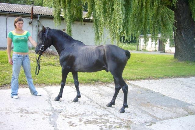 po kstraci po kastraci