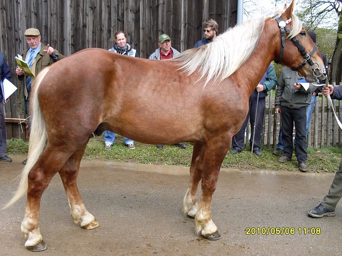 Nik 72/212 Nik 72/212