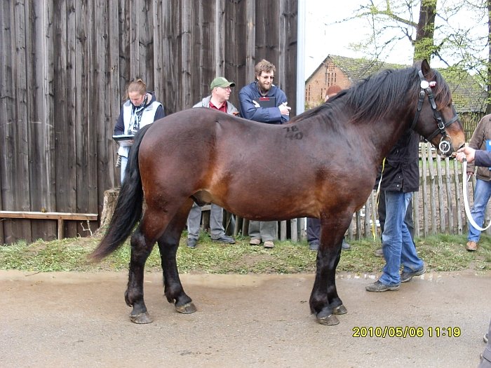 Aramis 18/40 Aramis 18/40