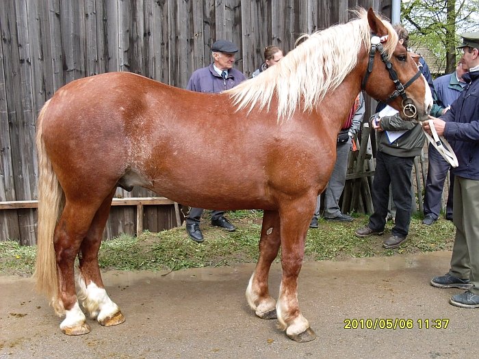 Rodeo 35/746 Rodeo 35/746