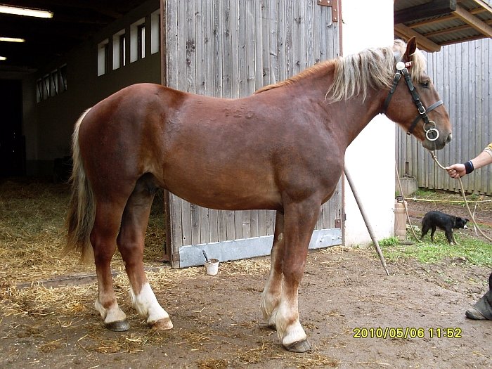 Aladin 16/720 Aladin 16/720