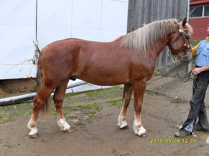 Bojar 47/732 Bojar 47/732