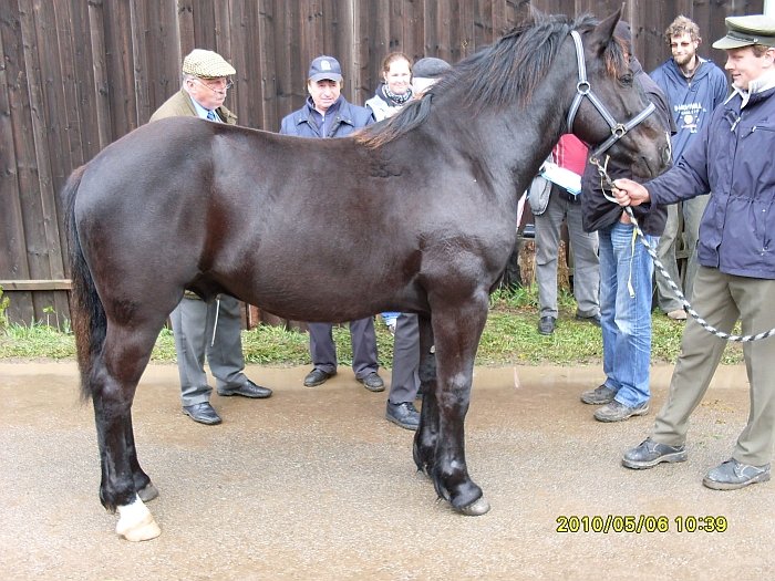 Soudek 43/355 Soudek 43/355