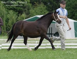 Trawel Riviera Trawel Riviera