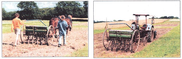 Konie Robocze - foto k článku Konie Robocze - foto k článku