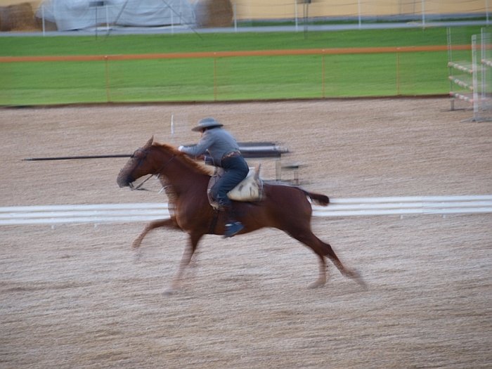 dynamická práce s garrochou dynamická práce s garrochou