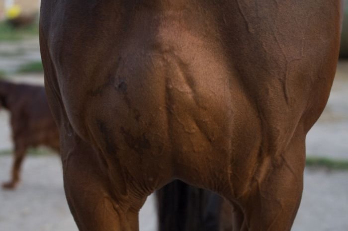 výrazné a pěkné prsní víry výrazné a pěkné prsní víry