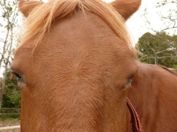 Vir, tocici se vpravo