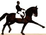 Vepředu koně držet, aby dělal okázalé pohyby předníma nohama