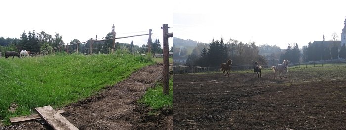 výběh pro koně, rovný, neosetý výběh pro koně, rovný, neosetý