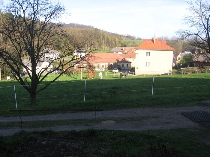 louka před domem louka před domem