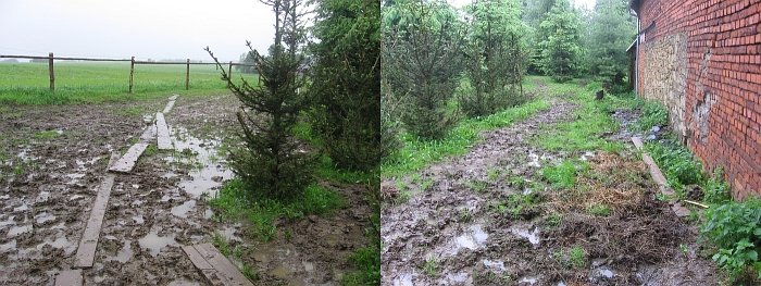 červnové bahno za stodolou červnové bahno za stodolou
