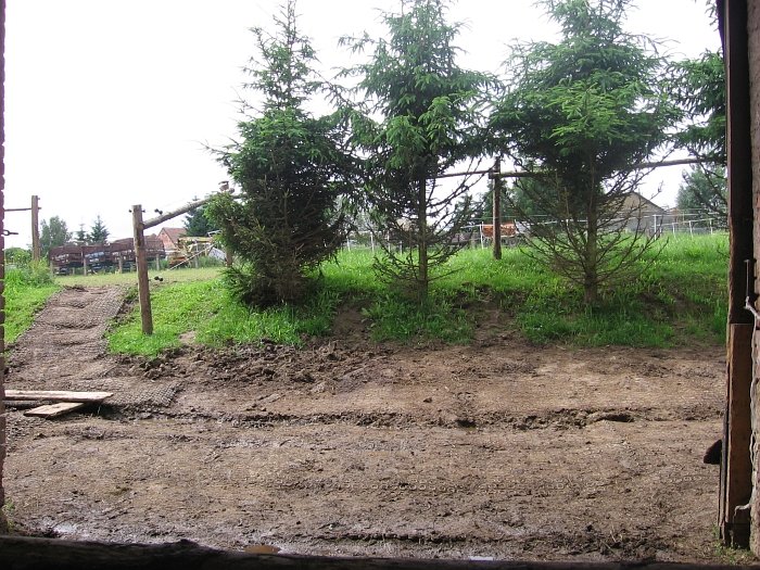 bláto před stodolou na začátku léta bláto před stodolou na začátku léta