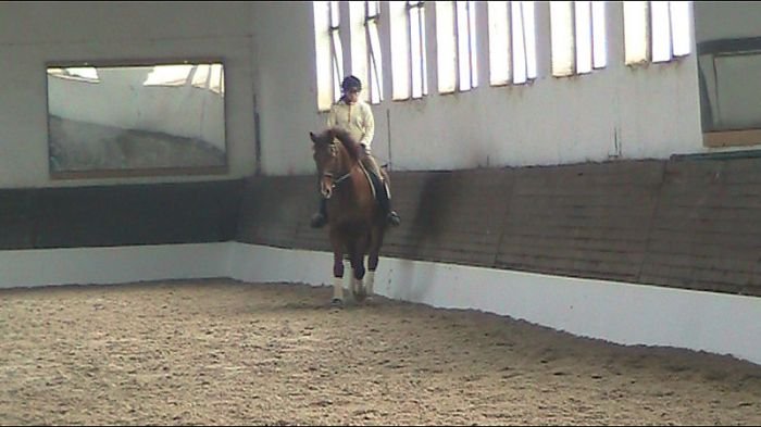 dovnitř plec s pohledem upřeným dolů dovnitř plec s pohledem upřeným dolů