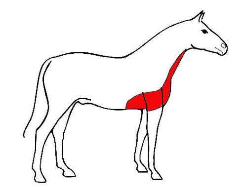 střih: zástěra střih: zástěra