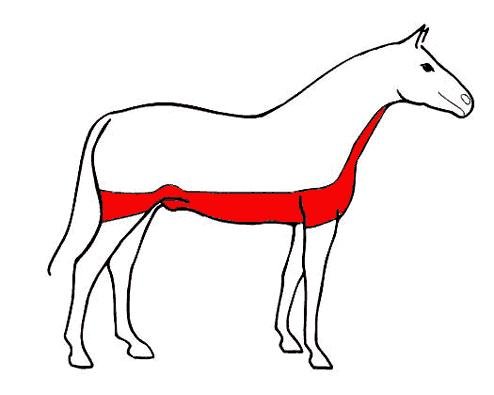 nízký střih nízký střih