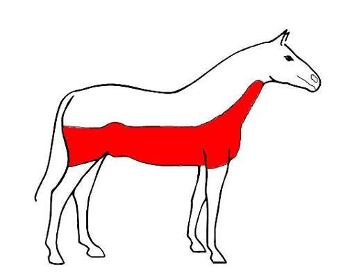 středně vysoký střih středně vysoký střih