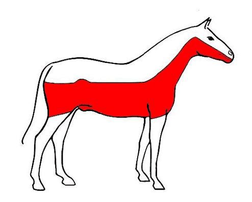 vysoký střih s ostříhanou polovinou hlavy vysoký střih s ostříhanou polovinou hlavy