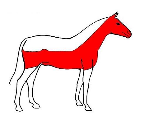 dostihový střih dostihový střih