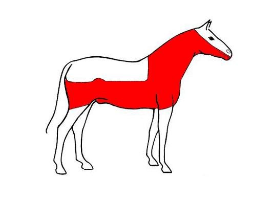 střih deka s neostříhanou polovinou hlavy střih deka s neostříhanou polovinou hlavy