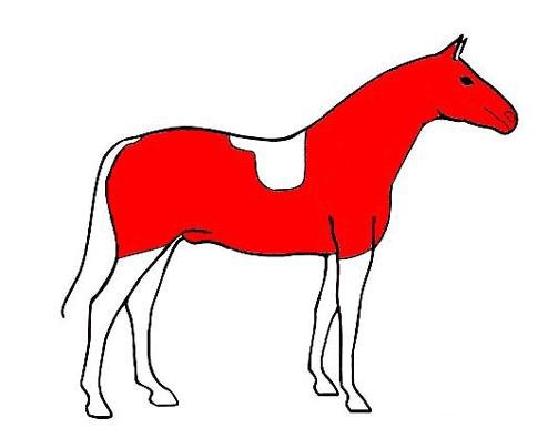 honební střih honební střih