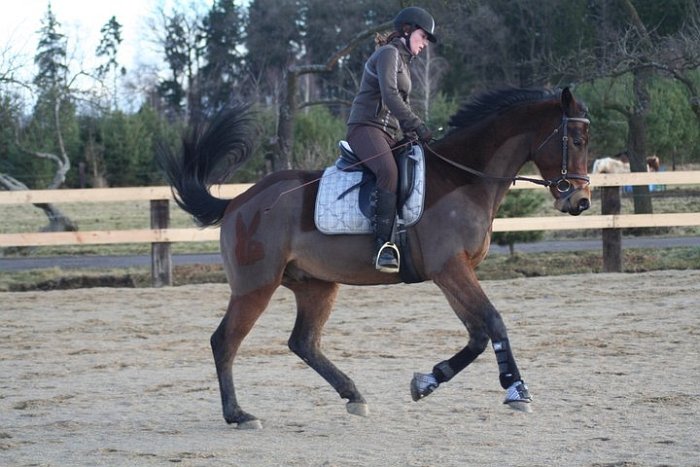 částečný střih a králíček Playboy částečný střih a králíček Playboy