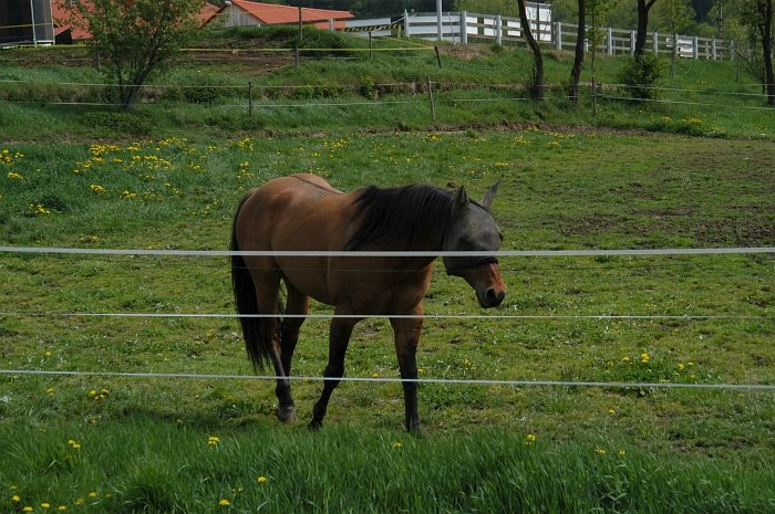 Různé vodiče Různé vodiče