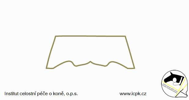 Schematická animace kopytního mechanismu - příčný řez Schematická animace kopytního mechanismu