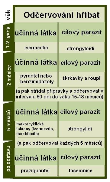 tip pro odčervování hříbat tip pro odčervování hříbat