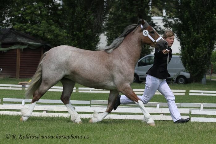 Pretoria Cascade Pretoria Cascade