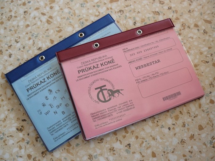 průkaz koně průkaz koně