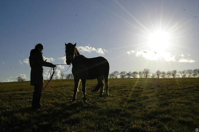 stmívání stmívání