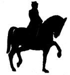 „Generál salutuje vepředu, ale za ním nejde žádná armáda“. „Generál salutuje vepředu, ale za ním nejde žádná armáda“.