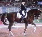 Nadměrný pohyb předních končetin v piafě na předku Nadměrný pohyb předních končetin v piafě na předku