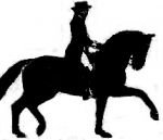 Nadměrný pohyb přední končetiny, prohnutý hřbet a zaostávající zadní končetiny Nadměrný pohyb přední končetiny, prohnutý hřbet a zaostávající zadní končetiny