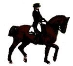 Hlava a krk držené nahoře silou Hlava a krk držené nahoře silou