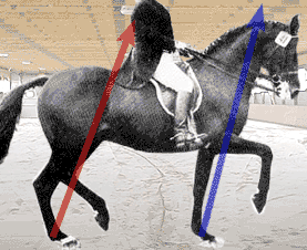 Znázornění moderní ideálů posunu zezadu a brzdění vepředu. Neobvykle špatné zobrazení sebenesení ve srovnání s další fotografií Znázornění moderní ideálů posunu zezadu a brzdění vepředu. Neobvykle špatné zobrazení sebenesení ve srovnání s další fotografií