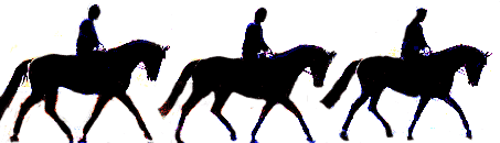 pracovní klus, za kolmicí pracovní klus, za kolmicí